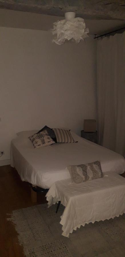 Appartement Cosy Au Coeur Du Centre Historique. 阿爾勒 外观 照片